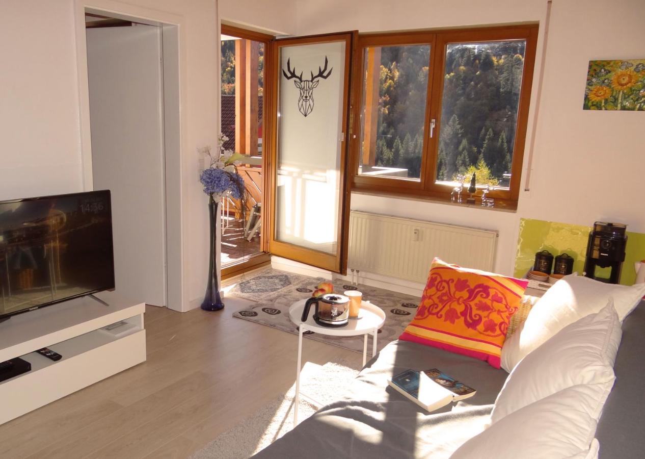 Apartments Amalia - Mit Wlan Und Sky In Traumhafter Lage Todtmoos Værelse billede